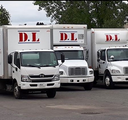 camionenrangee_dml camionenrangee_dml